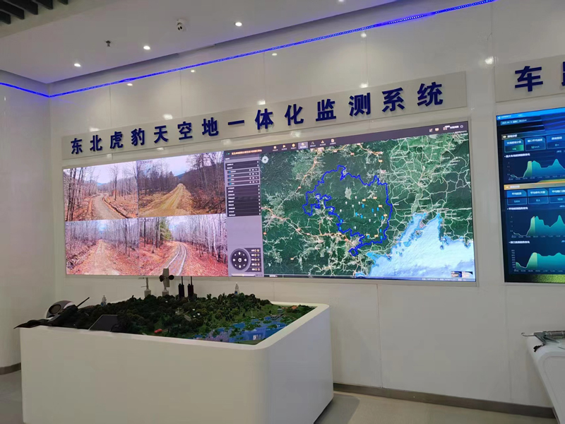吉視傳媒展廳東北虎豹園區.jpg