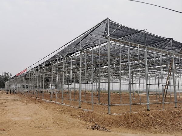 玻璃溫室的優(yōu)點有哪些？