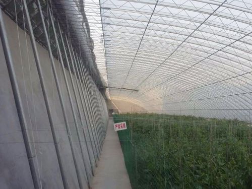 內(nèi)遮陽(yáng)系統(tǒng)